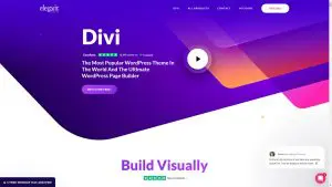 Divi Theme