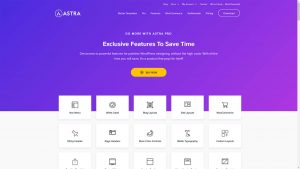 Astra Theme - Agency Bundle