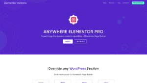 Download AnyWhere Elementor Pro